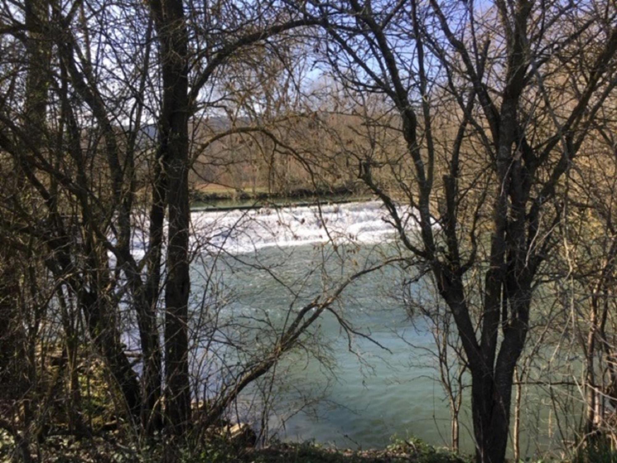Münch * Tauberbischofsheim
