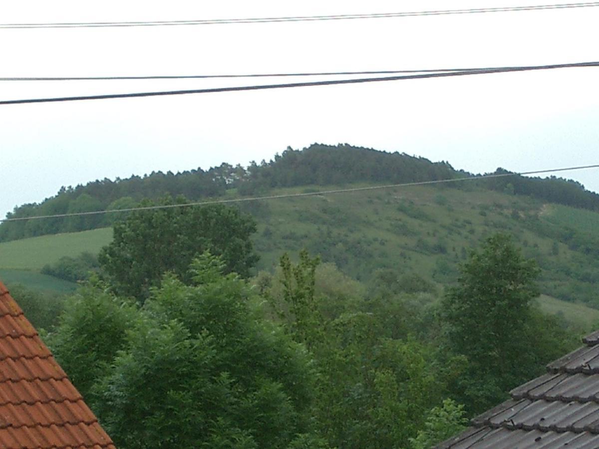 Apartment Muench *